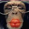 1 ptit bisoo